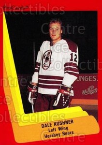 1990-91 ProCards AHL IHL #28 Dale Kushner