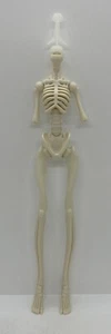 Monster High Howliday Dia De Muertos Skelita Calaveras Skeleton Nude Doll Body - Picture 1 of 7