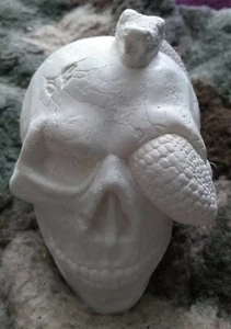 PLASTER SKULL & SNAKE (paint your own!) decorate crafts etc 12x8.5x10 cm - Picture 1 of 5