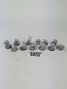Warhammer Age of Sigmar Gloomspite Gitz Squig Herd - Picture 1 of 1