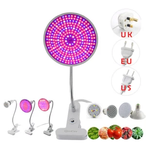 For Indoor Plant Flower Grow Light Room box Red Blue veg Lamp tent Growing - Picture 1 of 18