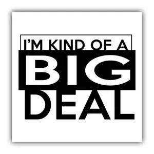 Gift Sticker : I am Kind of a Big Deal Funny Work Office Coworker Friend Joke - Picture 1 of 5