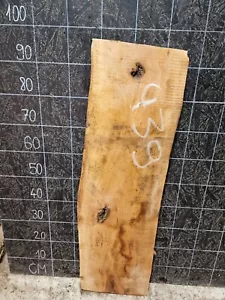 ENGLISH WALNUT SLAB LIVE EDGE KILN DRIED HARDWOOD (439) 960x280-290 x50mm - Picture 1 of 8