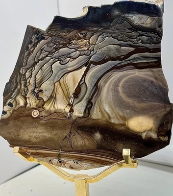 Rare!!! A Grade Polished Blue Biggs Picture Jasper Lapidary Slab, Biggs Oregon - Image 1 of 4