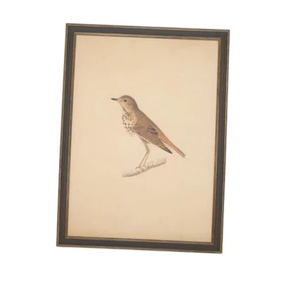 Arte de pared Petal Lane - Decoración antigua enmarcada - Haz tu propio pájaro de pared de galería Foto 1 de 4