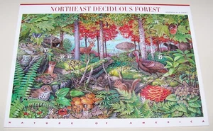 Northeast Deciduous Forest Stamp Sheet (10) - 2005 Scott #3899 37¢ - Picture 1 of 2