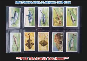 PLAYER'S - SEA FISHES 1935 (G/F) ***PICK THE CARDS YOU NEED*** - Picture 1 of 11