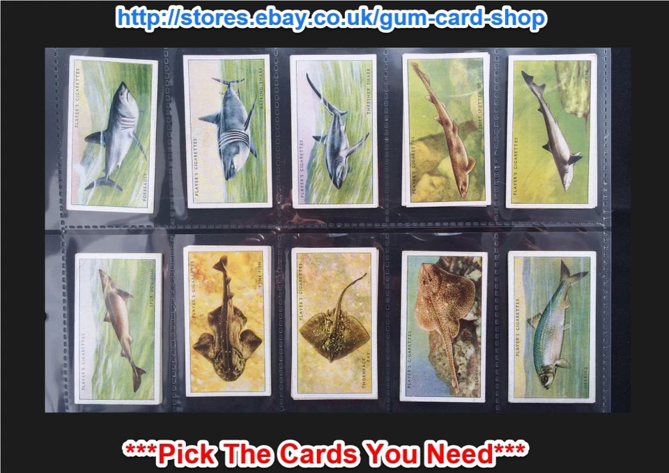 PLAYER'S - SEA FISHES 1935 (G/F) ***PICK THE CARDS YOU NEED*** - Image 1 of 4