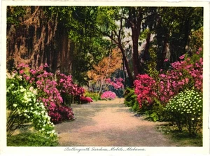 Bellingrath Gardens Mobile Alabama — Postkarte mit geteilter Rückseite von WDB & Runca Import - Bild 1 von 2