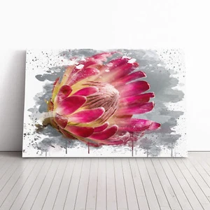 Flower Pink Protea V3 Canvas Wall Art Print Framed Picture Decor Living Room - Picture 1 of 6