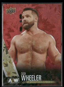Cash Wheeler 2021 Upper Deck AEW All Elite Wrestling Dynamite #31 Dash Wilder - Imagen 1 de 2