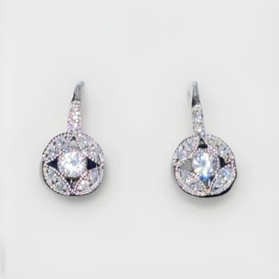 Pendientes de plata de ley con palanca trasera con brillo de circonita cúbica - Diseño clásico de halo Foto 1 de 4