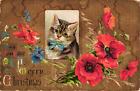 Postcard 1900s Embossed Divided Cat May You Have A Merry Christmas Unposted