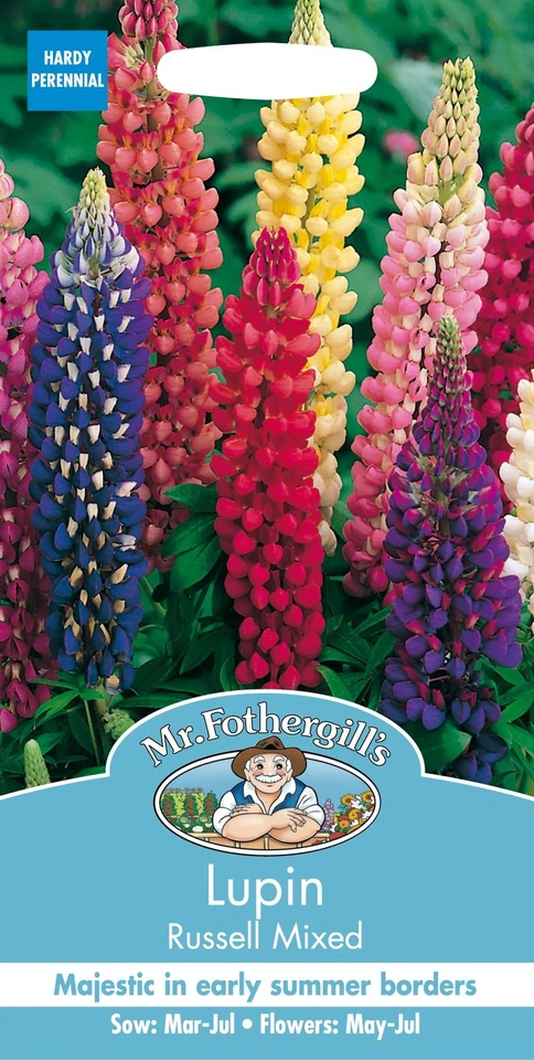 Mr Fothergills - Pictorial Packet - Flower - Lupin Russell Mixed - 75 Seeds - Image 1 of 1