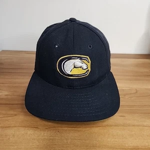 Vintage UC Davis Aggies Legacy Black Snapback Baseball Hat USA Made Cap - Picture 1 of 8
