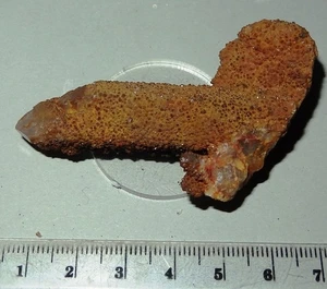 Golden Limonite Spirit Quartz south African Crystal specimen 57x15mm 25g #spi8 - Picture 1 of 3