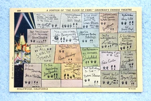 "Floor of Fame" Grauman's Chinese Theatre - Hollywood, California - Picture 1 of 2