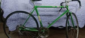 Vintage Sears Austria Bicycle - Picture 1 of 21