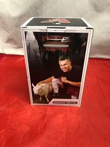Jake Lamb With Pet Lamb Arizona Diamondbacks Bobblehead SGA DBacks NIB MLB - Picture 1 of 9