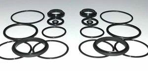 Evinrude Johnson Trim Tilt Cyl seal kit 1970-89 35-135HP 172575 174520 FSM002 - Picture 1 of 3