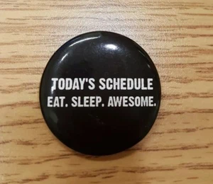 TODAY'S SCHEDULE EAT SLEEP AWESOME Fun Pin Retro Throwback Pinback Witty Button - Picture 1 of 5