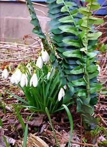 Micro Tube Fern Pflanze Cache Behälter für Geocaching kommt mit einem Logbuch - Bild 1 von 3