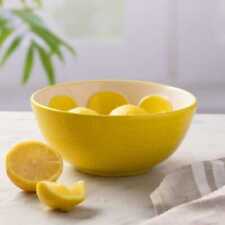 Typhoon Living World Foods 16cm Lemon Bowl