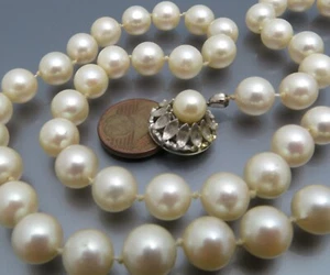 DISEÑO NEUMÁTICO - CADENA DE PERLAS AKOYA 8 MM - CIERRE ORO 585 - Imagen 1 de 5