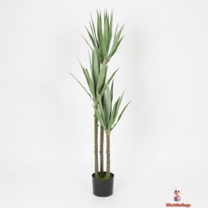 Elegant Gladiolus in Black Planter - Picture 1 of 7