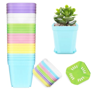 Paquete de 24 macetas de plástico multicolor, plástico colorido para interiores y exteriores Foto 1 de 4