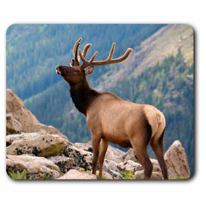 Computer Mouse Mat - Wild Rocky Mountains Deer Elk Office Gift #12668