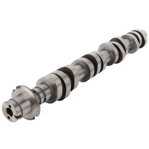 E150 F150 F350 E250 E350 Expedition Camshaft LEFT 5.4L V8 SOHC 5L1Z-6250-BA - Picture 1 of 1