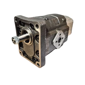 Casappa hierro fundido Kappa Group3 51cc bomba delantera 1:8 eje cónico 4 pernos europeo - Imagen 1 de 1