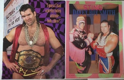 ПОСТЕР ЖУРНАЛА STING DAVEY BOY SMITH RAZOR RAMON WRESTLING WWF WCW ФОТОГРАФИЯ ПИН-АП - Изображение 1 из 2