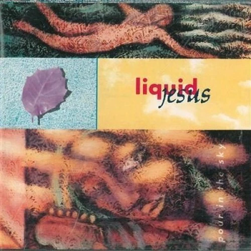 Liquid Jesus Pour in the sky (1991) [CD] - Bild 1 von 1