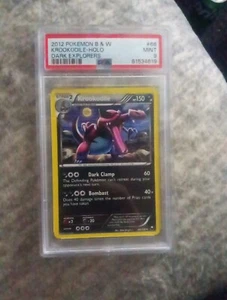 Krookodile 66/108 Holo PSA 9 - Picture 1 of 2