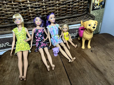 Lote de 4 Bonecas Mattel Barbie Sisters - Stacie, Chelsea, Skipper, Barbie, Animais de Estimação - Imagem 1 de 4