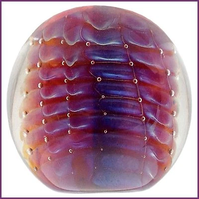 (22,42€/m) Double Helix Glass "HYPERION" (310x5mm)