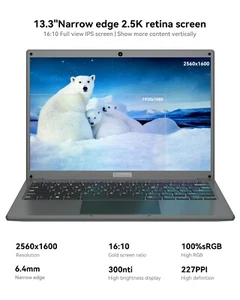 13.3" Intel Celeron N4020 Notebook 6/8GB DDR 1TB SSD 2560X1600 Resolution Laptop - Picture 1 of 11