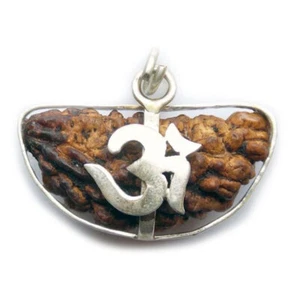 Lab Certified Ek Mukhi 1 Face Nepali Shiva Rudarakasha Beads Om Pendant Silver - Picture 1 of 5