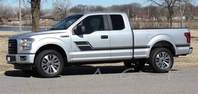 ELIMINATOR Puerta Hockey Palo Vinilo Gráficos Calcomanías Rayas 2015-2020 Ford F-150 Foto 1 de 4