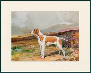 POINTER STANDING DOG GREAT DOG PRINT MOUNTED READY TO FRAME - Picture 1 of 1