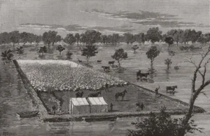 Floods at the Brewon Station, New South Wales. Dam built to save livestock 1890 - Picture 1 of 1