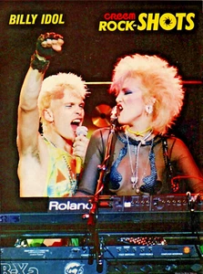 vintage anni '80 BILLY IDOL & JUDI DOZIER RIVISTA PINUP PAGE immagine concerto dal vivo - Foto 1 di 1
