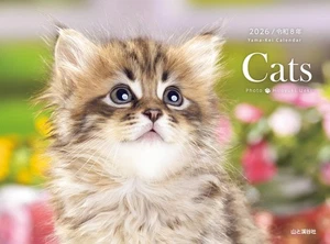 Calendar 2026 Cats Monthly/Wall Hanging/Cat Kitten Yamakei Calendar 2026 356 - Picture 1 of 1