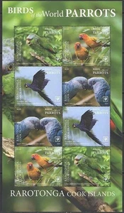 RAROTONGA - 2020 MNH "Aves del Mundo - ARROTS" ¡Hoja de Recuerdo!!!!! - Imagen 1 de 1