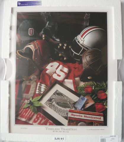 Ohio State Buckeyes Wall Plaque Timeless Tradition 19" x 16" Special Edition Cover