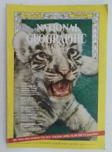 National Geographic Vol. 137 No. 4 April 1970 White Tiger in my House - Picture 1 of 6