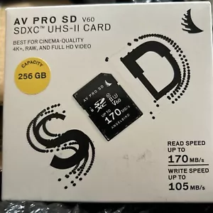 AV PRO SD V60 SDXC UHS-II CARD 256GB 170MB Angelbird - Picture 1 of 2