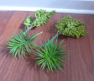 4 Piezas Plantas Artificiales 2 Yacón y 2 Mini Pinos Suculentas Hierba - Imagen 1 de 5